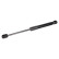 Gas spring, hood 103845 FEBI