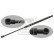 gas spring, hood 29285 FEBI, Thumbnail 2