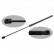 gas spring, hood 31629 FEBI