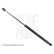 gas spring, hood ADG05829 Blue Print, Thumbnail 2