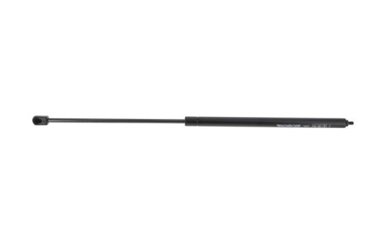gas spring, hood ML6025 Monroe