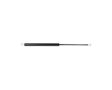 Gas spring, hood
