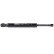 Gas spring, hood