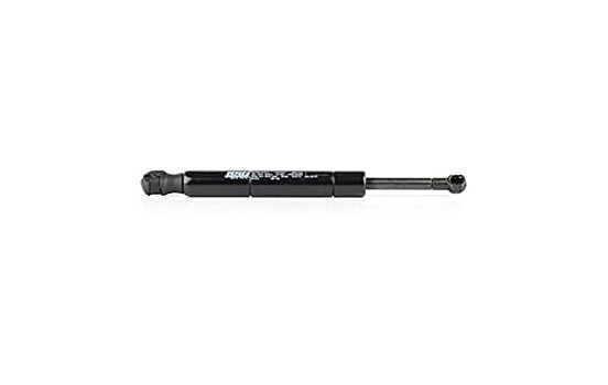 Gas spring, hood