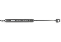 Gas spring, hood