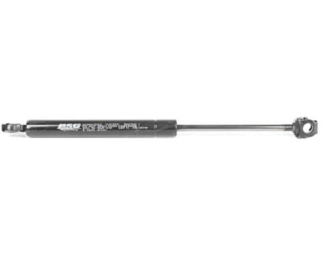 Gas spring, hood