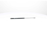 Gas spring, hood