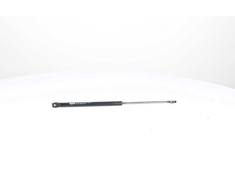 Gas spring, hood