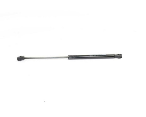 Gas spring, hood