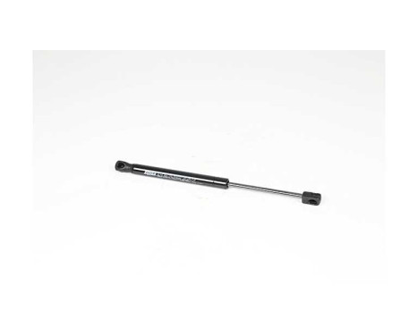 Gas spring, hood