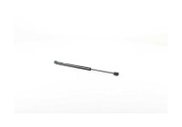Gas spring, hood