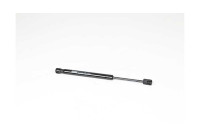 Gas spring, hood