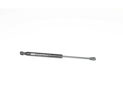 Gas spring, hood