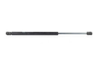 Gas spring, hood