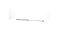 Gas spring, hood