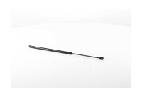 Gas spring, hood