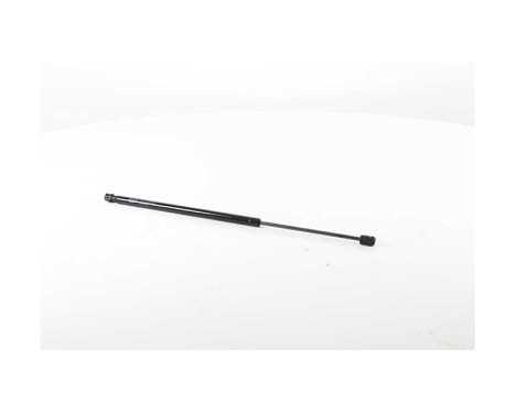 Gas spring, hood
