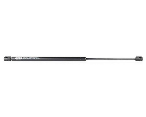 Gas spring, hood