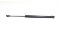 Gas spring, hood
