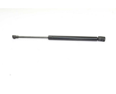 Gas spring, hood