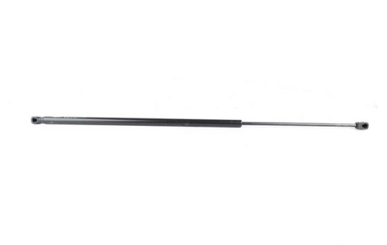 Gas spring, hood