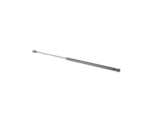 Gas spring, hood