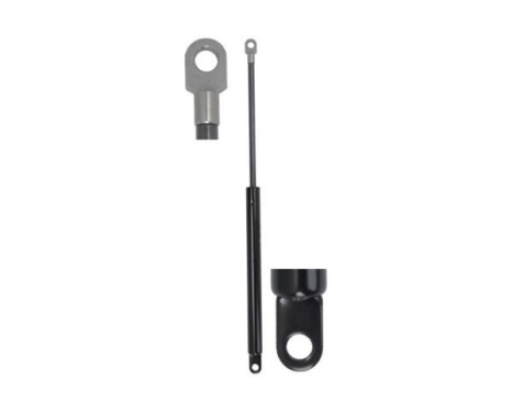 Gas spring, hood