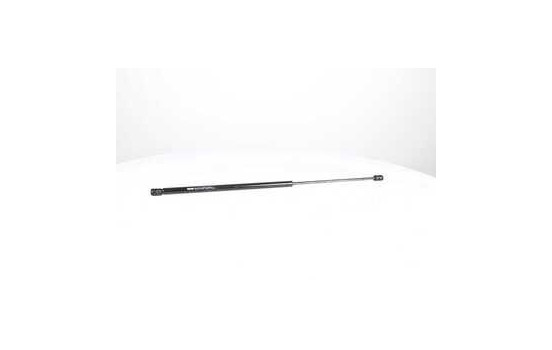 Gas spring, hood, Image 2