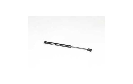 Gas spring, hood, Image 2