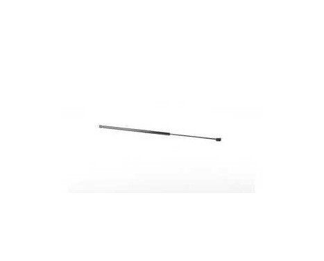 Gas spring, hood, Image 2