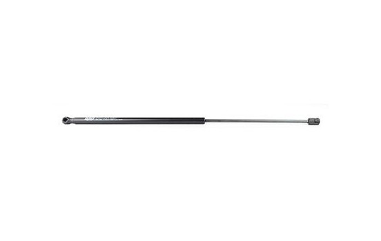 Gas spring, hood, Image 2