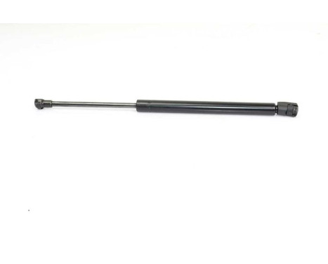 Gas spring, hood, Image 2
