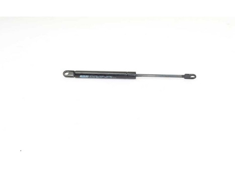 Gas spring, hood, Image 2