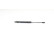 Gas spring, hood, Thumbnail 2
