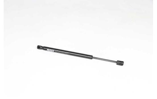 Gas spring, hood, Image 2