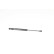 Gas spring, hood, Thumbnail 2