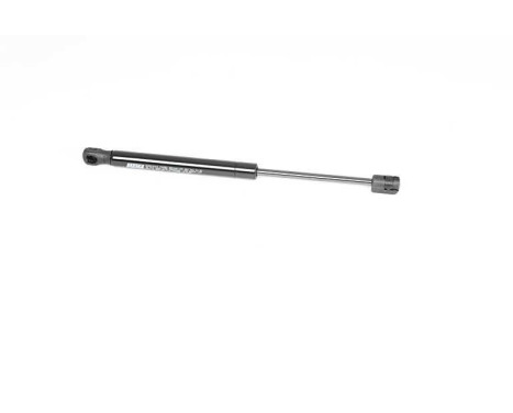 Gas spring, hood, Image 2