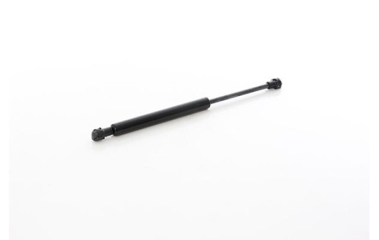 Gas spring, hood