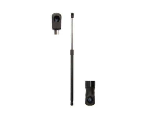 Gas spring, hood