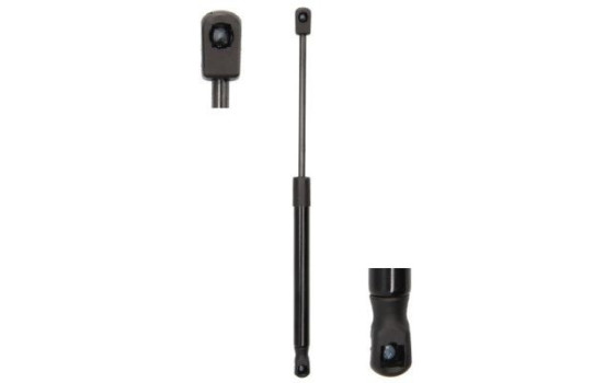 Gas spring, hood
