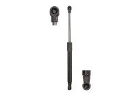 Gas spring, hood