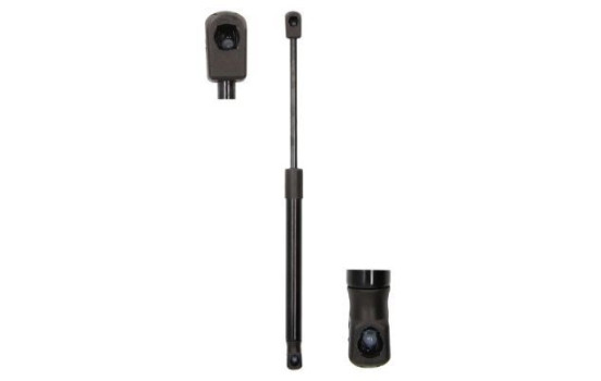 Gas spring, hood
