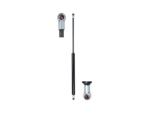 Gas spring, hood