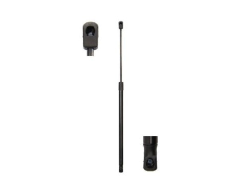 Gas spring, hood