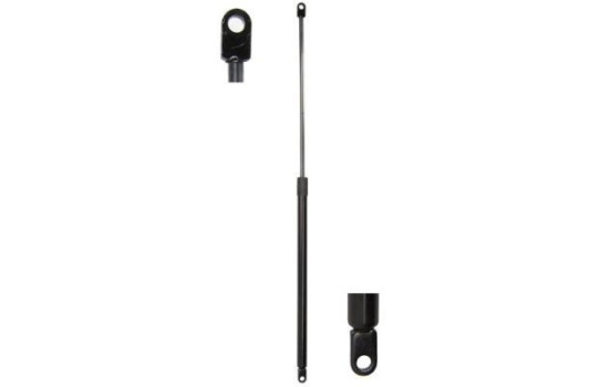 Gas spring, hood