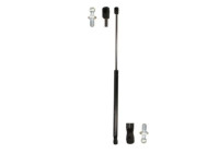 Gas spring, hood