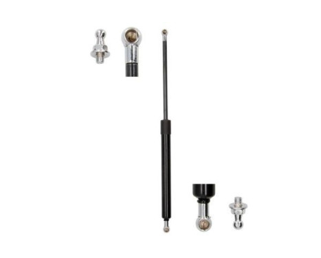Gas spring, hood