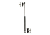 Gas spring, hood