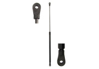 Gas spring, hood