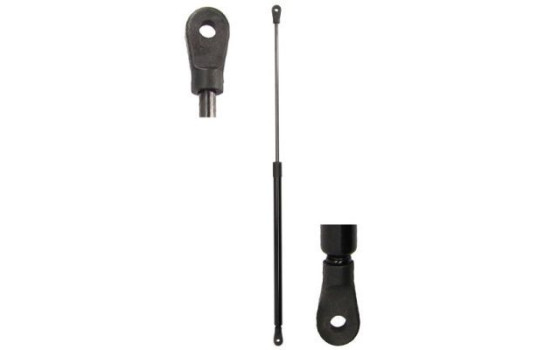 Gas spring, hood